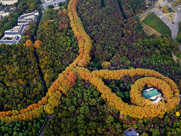 Anchoring reinforcement:The Nanjing Meiling Palace